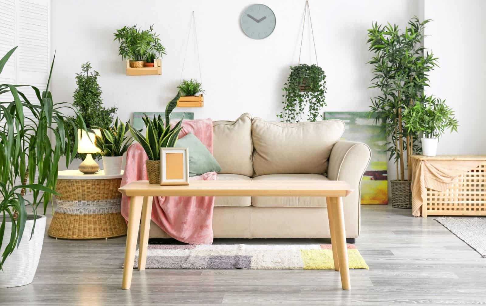 bring-the-outdoors-indoors